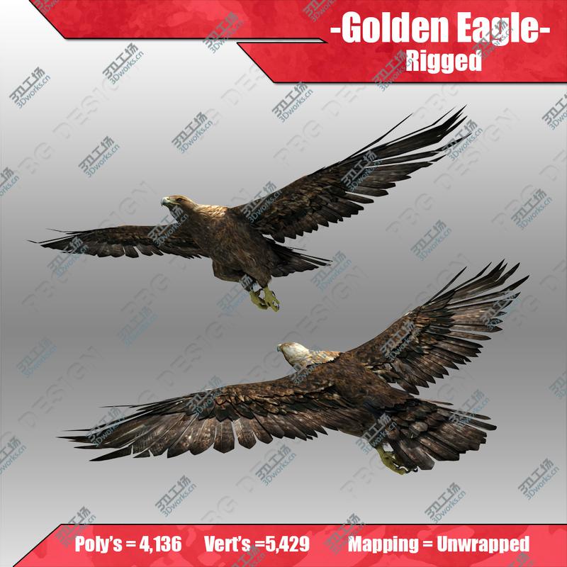 images/goods_img/202105073/Golden Eagle/3.jpg